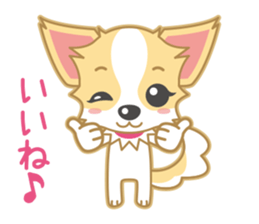 Cute Chihuahua Sticker sticker #988477