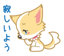Cute Chihuahua Sticker sticker #988478