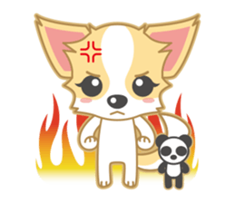 Cute Chihuahua Sticker sticker #988479