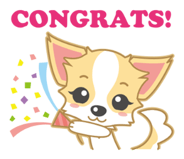 Cute Chihuahua Sticker sticker #988480