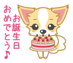 Cute Chihuahua Sticker sticker #988482