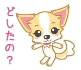Cute Chihuahua Sticker sticker #988483