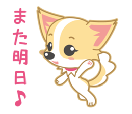 Cute Chihuahua Sticker sticker #988486