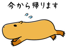 Capybara family sticker #988968