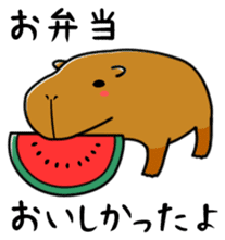 Capybara family sticker #988970