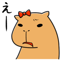 Capybara family sticker #988971