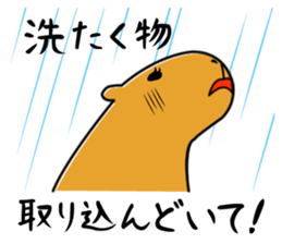 Capybara family sticker #988974