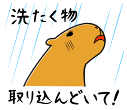 Capybara family sticker #988974