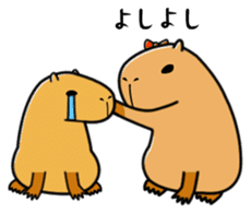 Capybara family sticker #988979