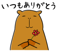 Capybara family sticker #988983