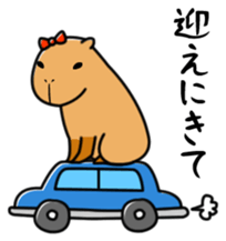 Capybara family sticker #988990