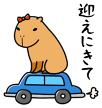 Capybara family sticker #988990