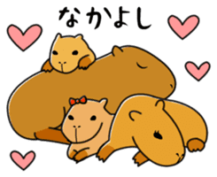 Capybara family sticker #988992