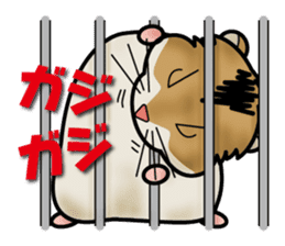 Cute Hamster sticker #989973