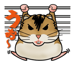 Cute Hamster sticker #989974