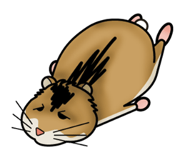Cute Hamster sticker #989976