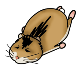 Cute Hamster sticker #989976