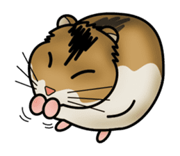 Cute Hamster sticker #989978