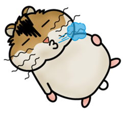 Cute Hamster sticker #989981