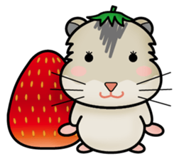 Cute Hamster sticker #989999