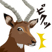 Wild animal sticker #990154