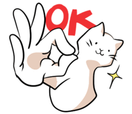catcatcat sticker #990689