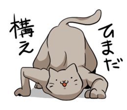 catcatcat sticker #990690