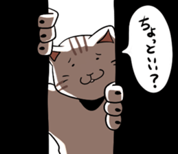 catcatcat sticker #990692