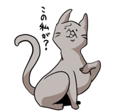 catcatcat sticker #990693