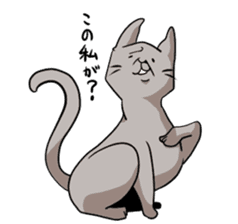 catcatcat sticker #990693