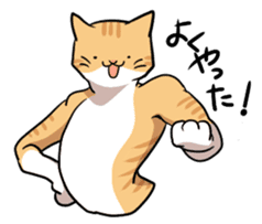 catcatcat sticker #990697