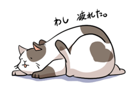 catcatcat sticker #990698