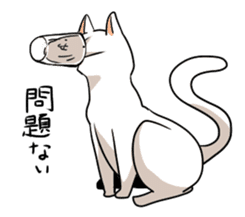 catcatcat sticker #990708