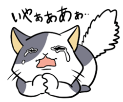 catcatcat sticker #990712