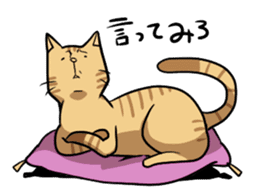 catcatcat sticker #990722