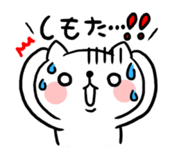 The cat of the Sanuki dialect sticker #992290