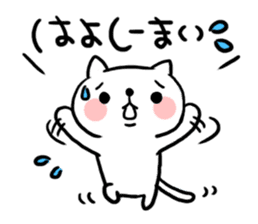 The cat of the Sanuki dialect sticker #992306