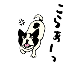 MANGA "French Bulldog in Japan." sticker #992426