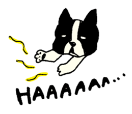 MANGA "French Bulldog in Japan." sticker #992430