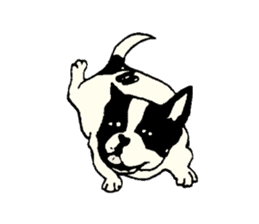 MANGA "French Bulldog in Japan." sticker #992443