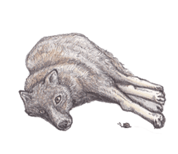 Wolf's song(1) sticker #993647