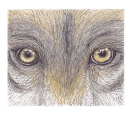 Wolf's song(1) sticker #993666