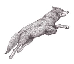 Wolf's song(1) sticker #993668