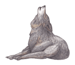 Wolf's song(1) sticker #993669