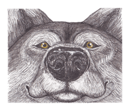 Wolf's song(1) sticker #993671