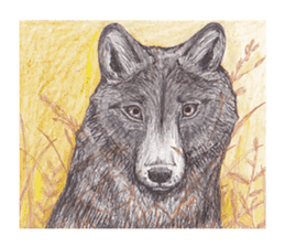 Wolf's song(1) sticker #993677