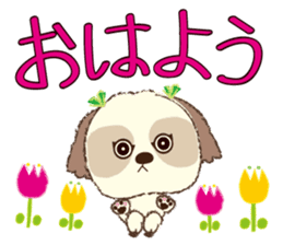 Shih Tzu Marlon daily life sticker sticker #993727