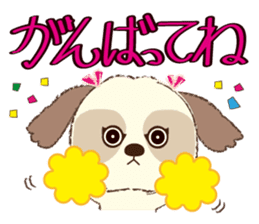 Shih Tzu Marlon daily life sticker sticker #993730
