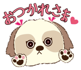 Shih Tzu Marlon daily life sticker sticker #993733