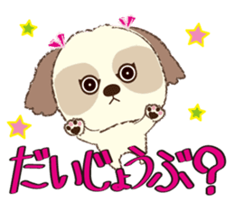 Shih Tzu Marlon daily life sticker sticker #993739